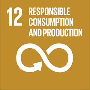Responsible Consumption and Production (SDG 12)