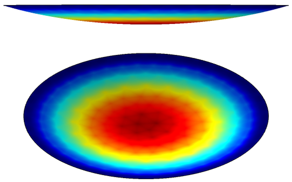 The simulation result of the membrane deformation.